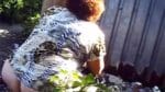 Oma beim scheißen im perversen Scat Pornofilm ansehen