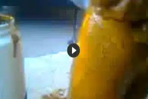 Geil Arschficken Dirty und heiße Rosette