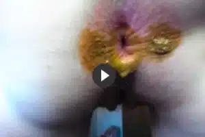 Geile Rosette und KV mit einer geilen Amateurin