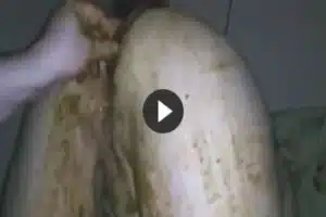 Im dreckige Kaviar Schlampe Porno