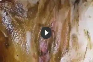 Schmutziges Pussy Fisting erleben